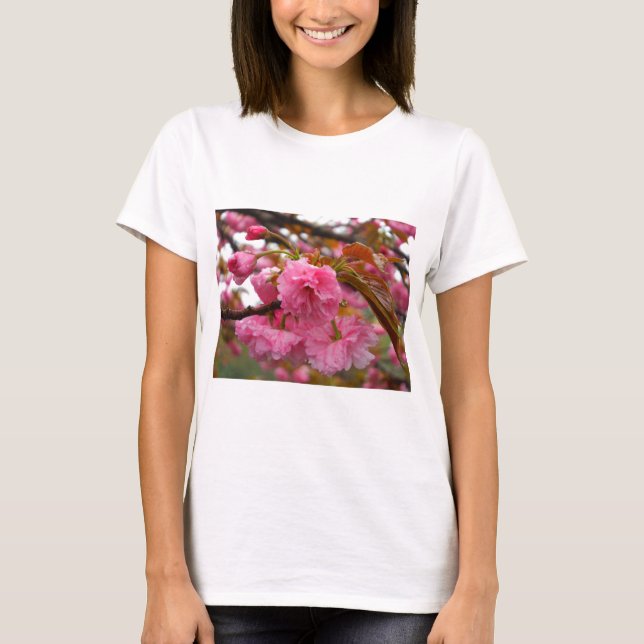 Camiseta Flores de Flor de Cereja Rosa Quente (Frente)