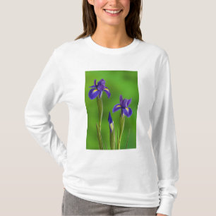 Camiseta Flores de Íris