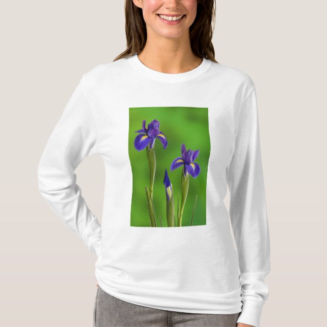 Camiseta Flores de Íris (Frente)