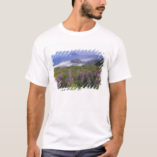 Camiseta Flores de lupino e costa acidentada ao longo