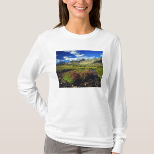 Camiseta Flores de macaco em Logan Pass no Glacier National