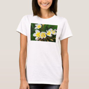 Camiseta Flores de Plumeria close-up, Havaí