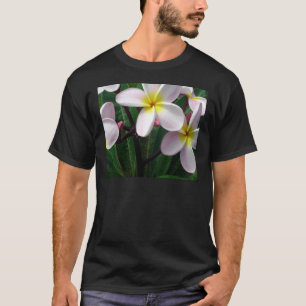 Camiseta Flores de Plumeria, Rosa e Amarelo, doces