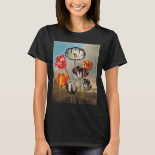 Camiseta Flores de Tulipa Variegada Antiga em uma Paisagem
