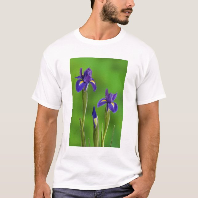 Camiseta Flores Iris (Frente)