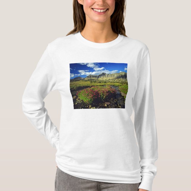 Camiseta Flores-macacos no Logan Pass na Glacier National (Frente)