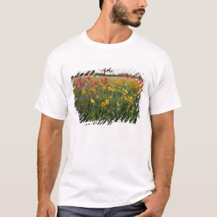 Camiseta Flores silvestres à beira da estrada no Texas, pri