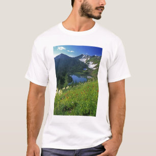 Camiseta Flores silvestres alpinas na Jewel Basin na