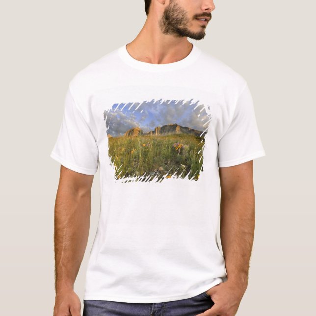 Camiseta Flores Silvestres da Pradaria no Vale de Many Glac (Frente)