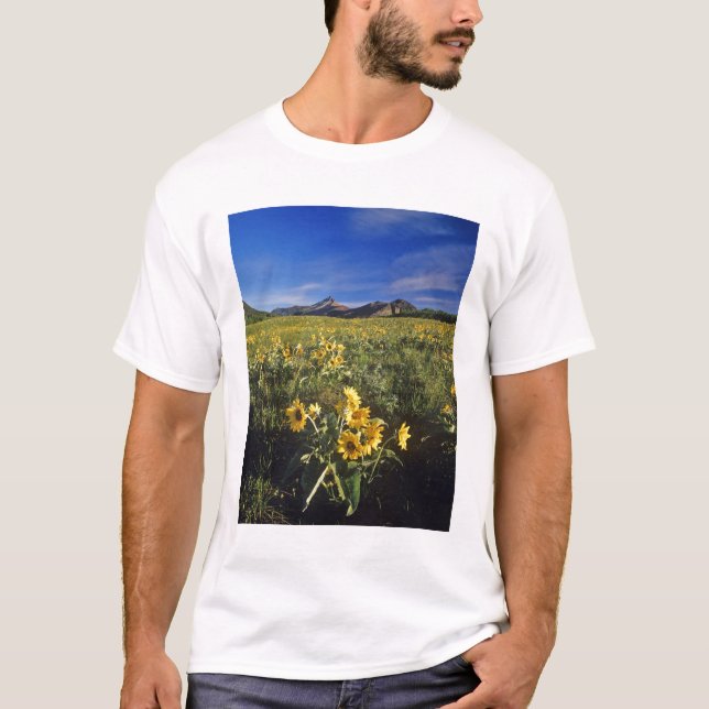 Camiseta Flores silvestres de balsomroot de folha de seta e (Frente)