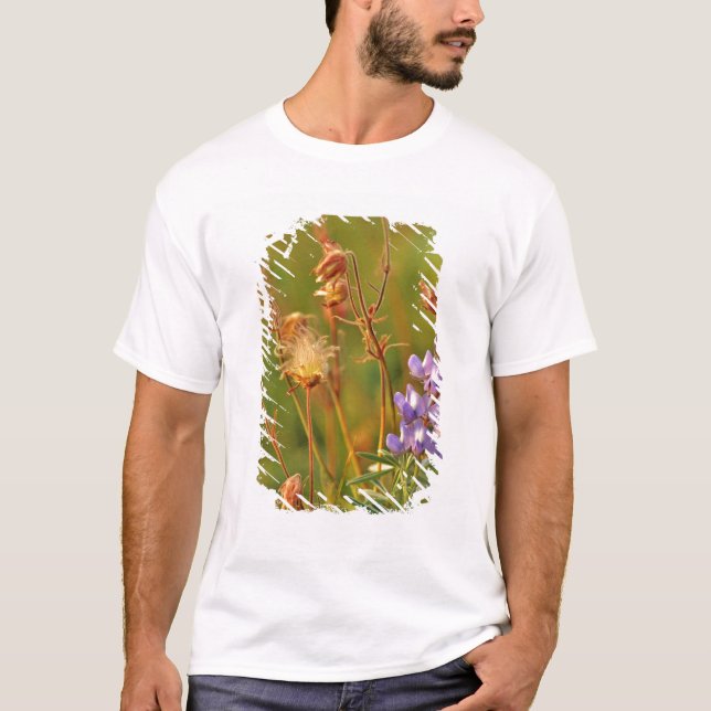 Camiseta Flores silvestres de tremoço e fumaça de pradaria  (Frente)
