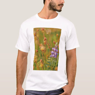 Camiseta Flores silvestres Lupine & Prairie Smoke em Montan