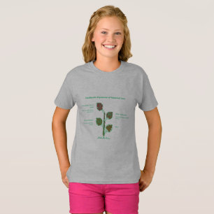 Camiseta Floresça Onde Você É Amado – Inspiração Floral