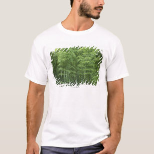 Camiseta Floresta de bambu