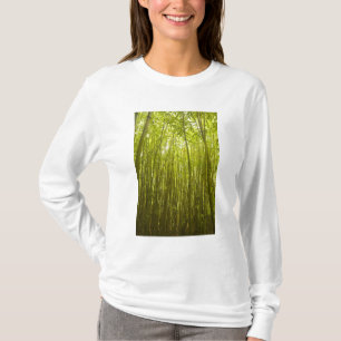 Camiseta Floresta de bambu perto da trilha Waikamoi Ridge,