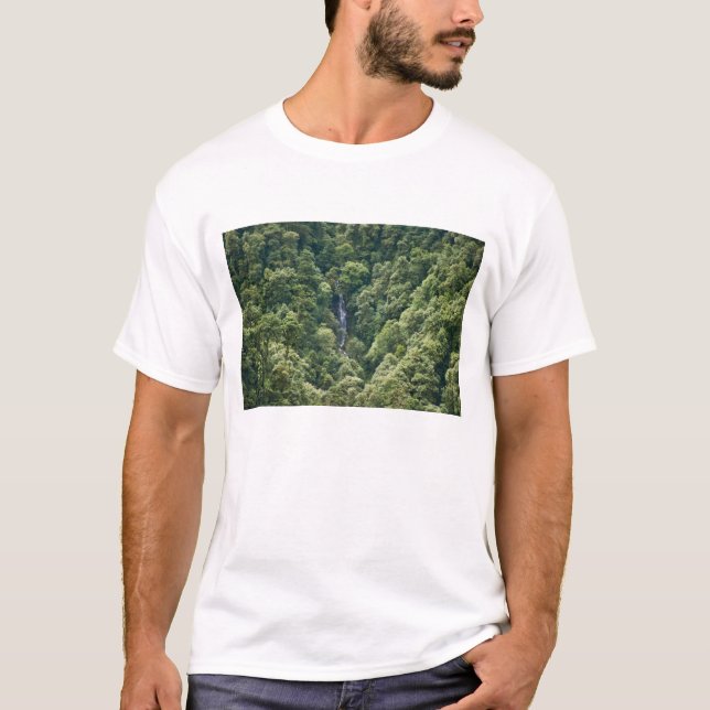 Camiseta Floresta de Himalaia no vale de Mangdue, Butão (Frente)
