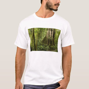 Camiseta Floresta de nuvens, Bosque de Paz, Costa Rica