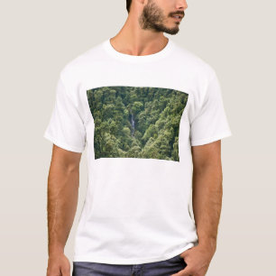 Camiseta Floresta do Himalaia no vale de Mangdue, Butão
