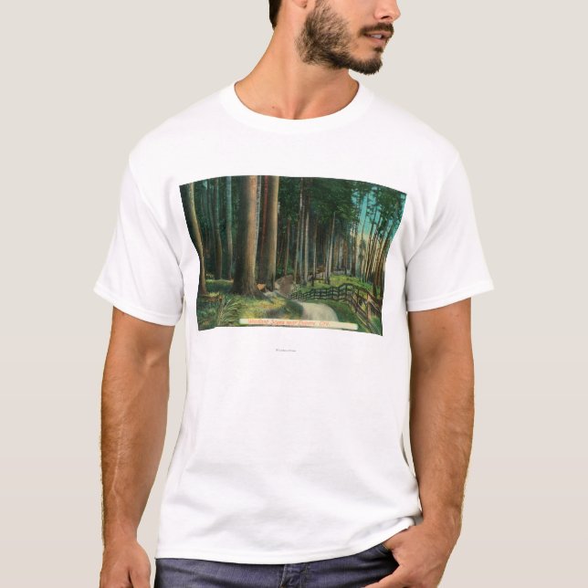 Camiseta Floresta SceneEugene, OU (Frente)