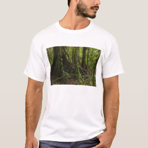 Camiseta Floresta tropical, Rio Mapari Norte Rupununi,