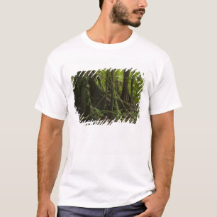 Camiseta Floresta tropical, Rio Mapari Norte Rupununi,