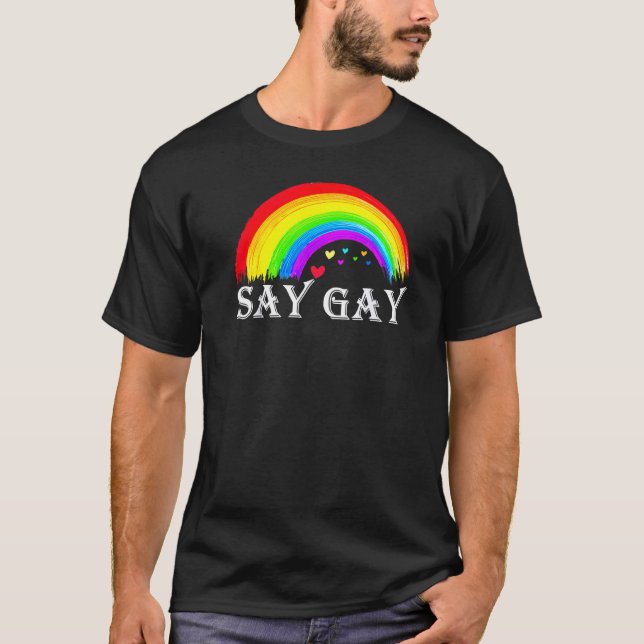 Camiseta Flórida diz que Gay diariamente protege Tra de Pro (Frente)