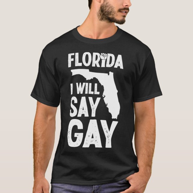 Camiseta Flórida Eu Direi Direitos de Orgulho gay Quebra LG (Frente)