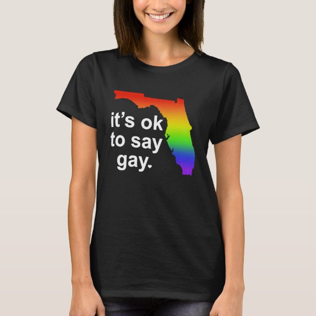 Camiseta Florida LGBTQ It's OK to Say Gay Protect LGBTQ Fre (Frente)