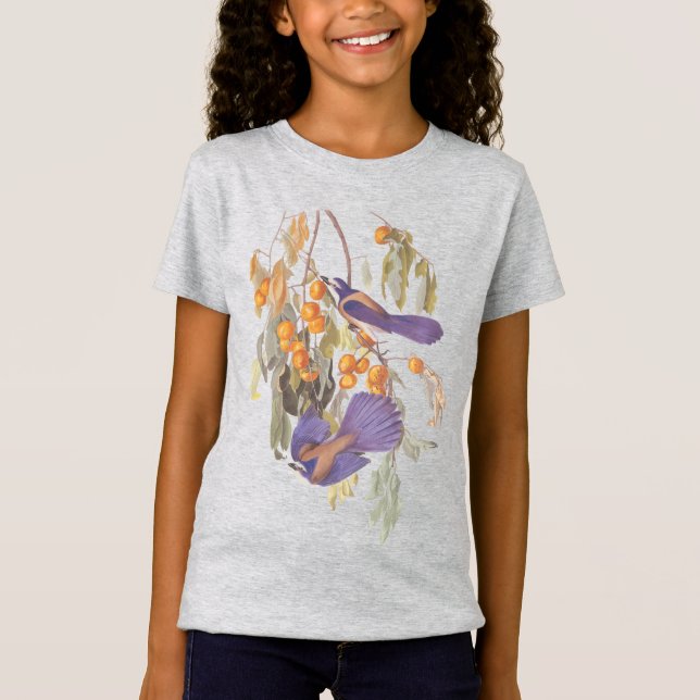 Camiseta Flórida Scrub Jay Audubon Birds em Orange Tree (Frente)