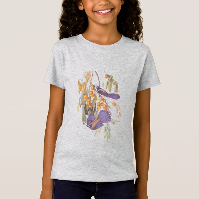 Camiseta Flórida Scrub Jay Audubon Birds em Orange Tree (Frente)