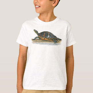 Camiseta Florida Vermelho-inchou o t-shirt da tartaruga