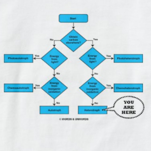 Camiseta Fluxograma Heterotroph Você Está Aqui Humor Biológ (Heterotroph flow chart with "You Are Here" callout on this tee for any heterotroph)
