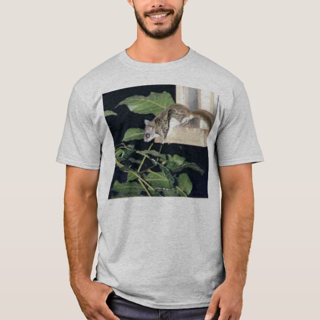 Camiseta FlyingSquirrel (Frente)