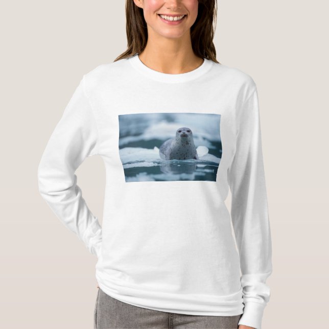Camiseta foca-comum-do-pacífico, Phoca vitulina richardsi (Frente)