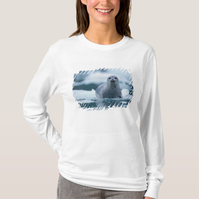 Camiseta foca-comum-do-pacífico, Phoca vitulina richardsi (Frente)