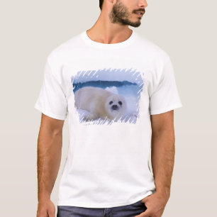 Camiseta Foca-da-groenlândia América do Norte, Canadá, Queb
