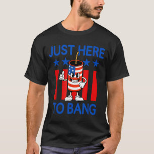 Camiseta Fogos de artifício patrióticos humor Usa apenas aq