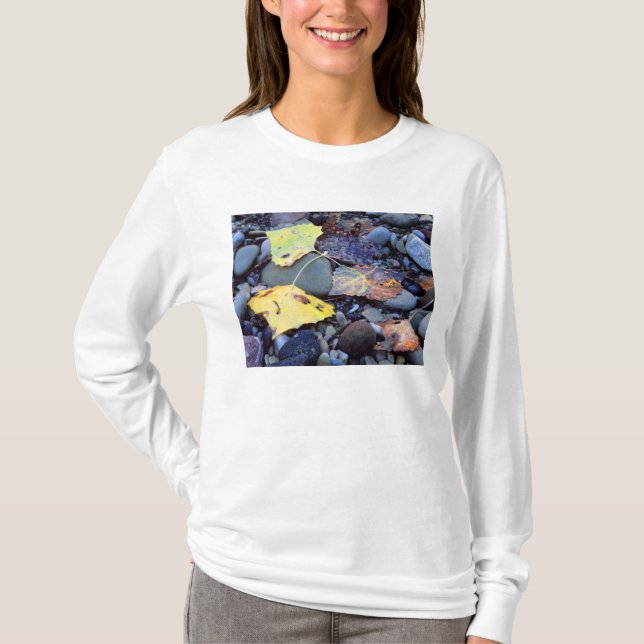 Camiseta Folha de algodão de Fremont em plena inundação (Frente)