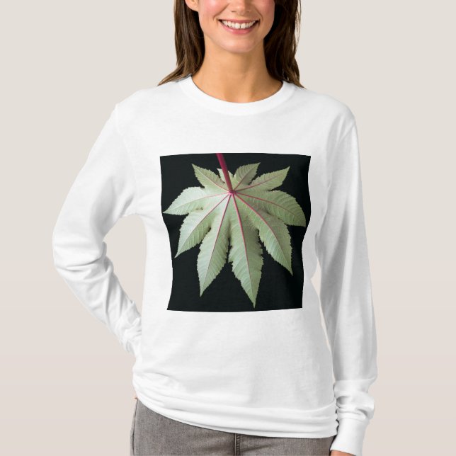 Camiseta Folha e haste (Frente)