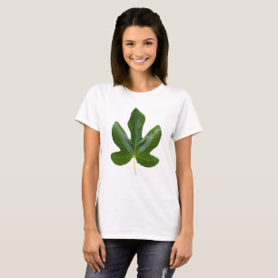 Camiseta Folha verde fechada isolada sobre fundo branco