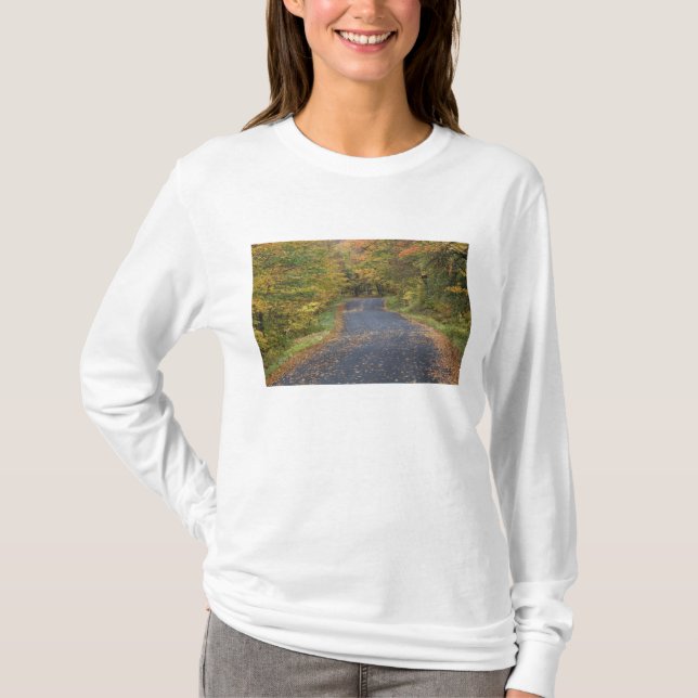 Camiseta Folhagem de estrada, Southern Vermont, EUA (Frente)