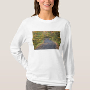 Camiseta Folhagem de outono à beira da estrada, sul de Verm