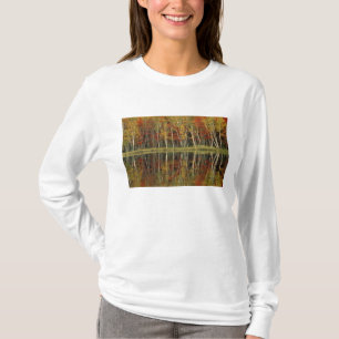 Camiseta Folhagem de Outono e Reflexos de Bétula; Hiawatha