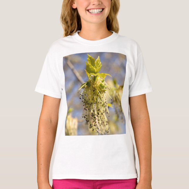 Camiseta Folhas bonitas em primavera (Frente)