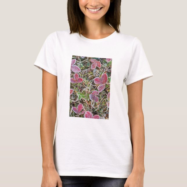 Camiseta Folhas cobertas com gelo, Canadá (Frente)
