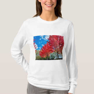 Camiseta Folhas De Árvore Vermelha Brilhante No Outono