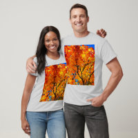 Folhas de laranja