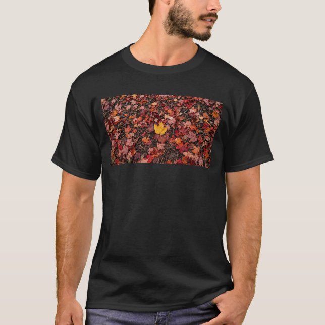 Camiseta Folhas de outono  (Frente)