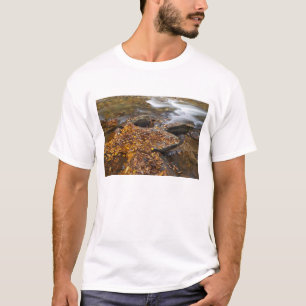 Camiseta Folhas de outono ao longo do Looking Glass Creek n