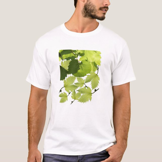 Camiseta Folhas de Vinho Verde (Frente)